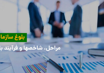 بلوغ سازمانی چیست؟