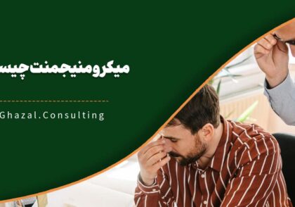 میکرومنیجمنت