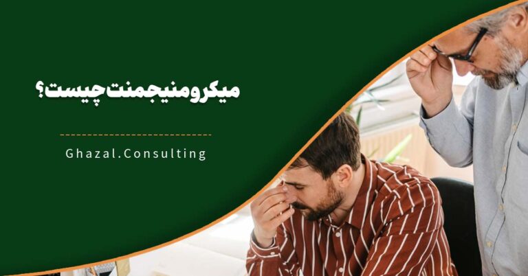 میکرومنیجمنت